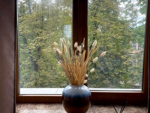 комерційна за адресою Жилянська вул., 97