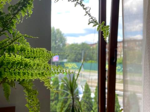 комерційна за адресою Жилянська вул., 97