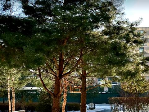 квартира за адресою Салютна вул., 2