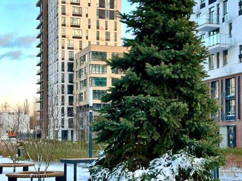 квартира за адресою Салютна вул., 2