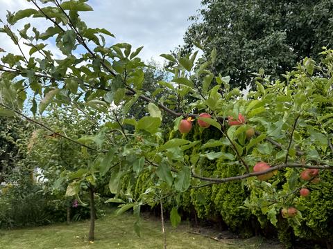 будинок за адресою с. Сокільники, Богдана Хмельницького вул.
