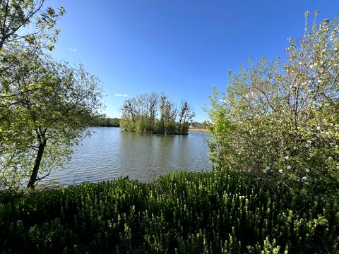 ділянка за адресою Баланівка