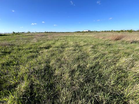 ділянка за адресою Баланівка