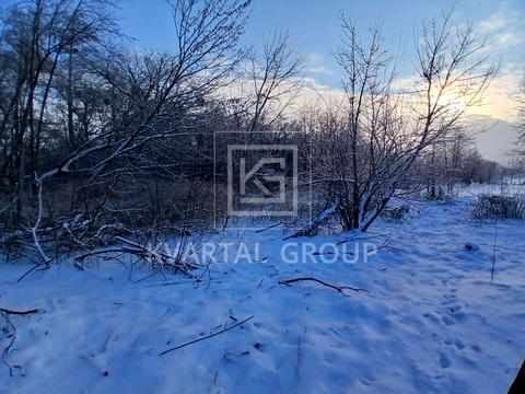 ділянка за адресою орлика