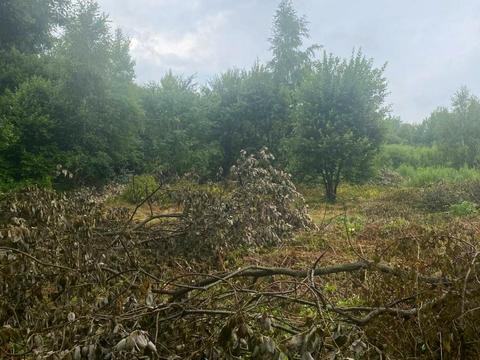 ділянка за адресою 