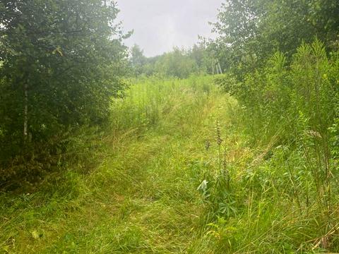 ділянка за адресою 