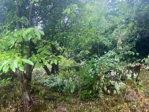 ділянка за адресою 