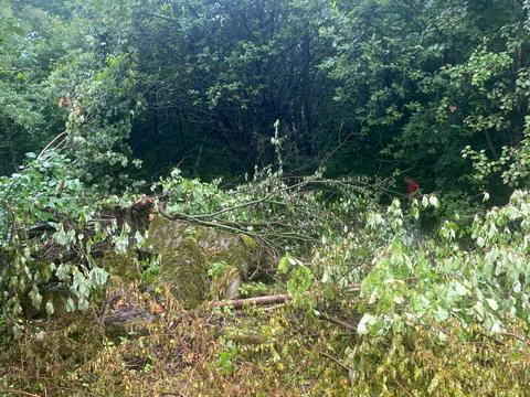 ділянка за адресою 