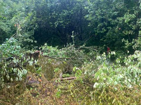 ділянка за адресою 