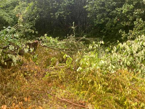 ділянка за адресою 