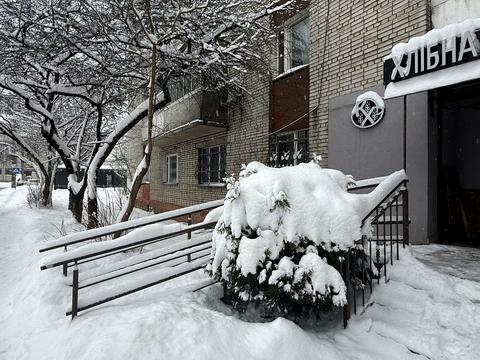 комерційна за адресою Євгена Патона вул., 2/2