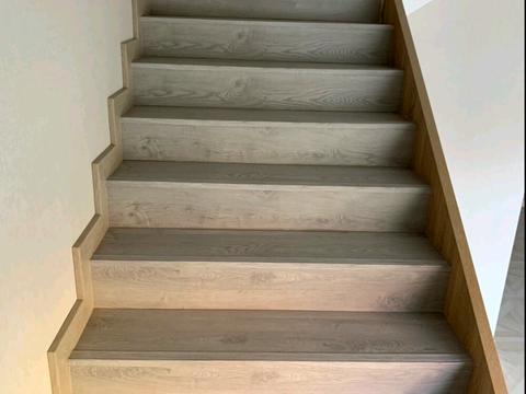 дом по адресу Сергея Шелухина ул. (Александра Невского)