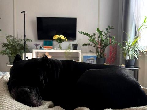 квартира за адресою Київ, Оболонський просп., 26-А