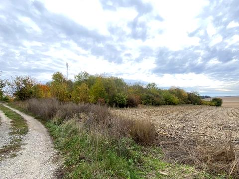 участок по адресу Тернопольская ул.