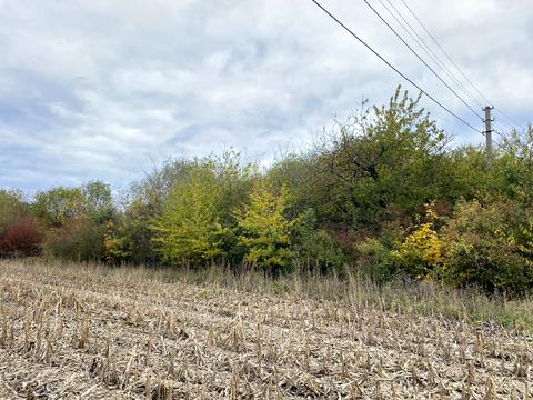участок по адресу Тернопольская ул.