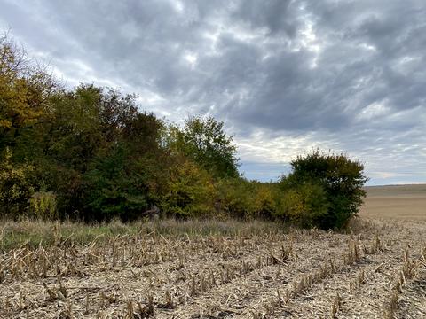 участок по адресу Тернопольская ул.