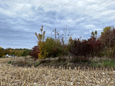 участок по адресу Тернопольская ул.