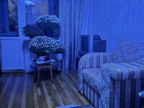 квартира за адресою Кутківці / Золотогірська, 11