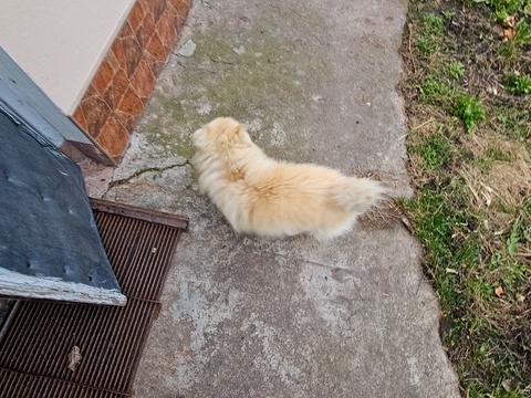 будинок за адресою Поштова вул.