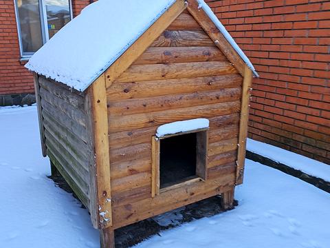 дом по адресу Грушевського, 36