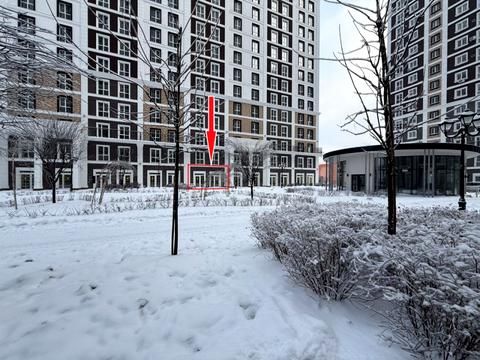 комерційна за адресою Михайла Максимовича вул. (Онуфрія Трутенка), (Будинок «Престон»)