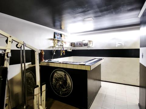 комерційна за адресою Петра Лінтура вул., 10