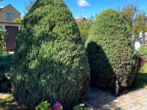 будинок за адресою Сонячна