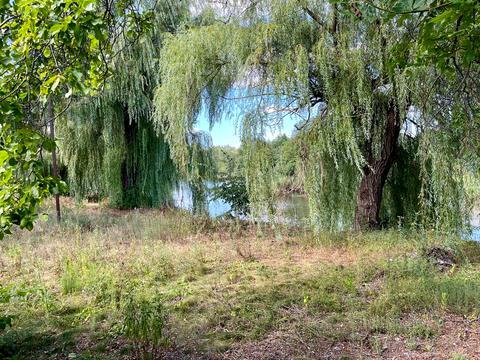 комерційна за адресою Низова, 2д