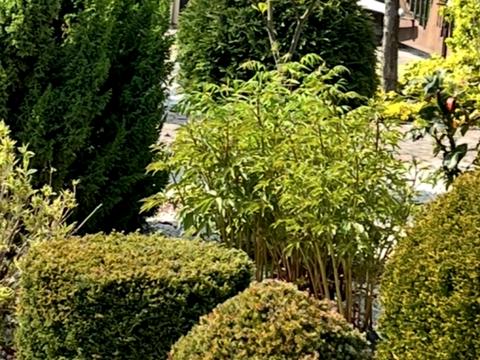 будинок за адресою Іршавська вул., 25