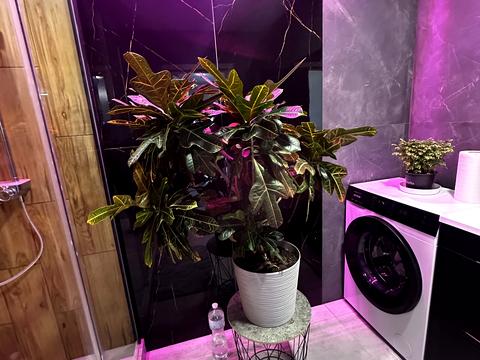 дом по адресу Вишнева, 2