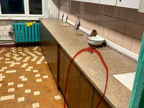 кімната за адресою Миколи Руденка бульв. (Кольцова), 20-А