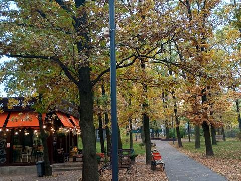 квартира за адресою Садова вул., 51-А