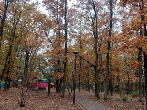 квартира за адресою Садова вул., 51-А