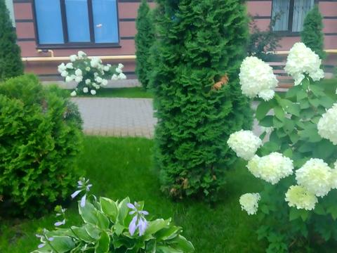 квартира за адресою Садова вул., 51-А