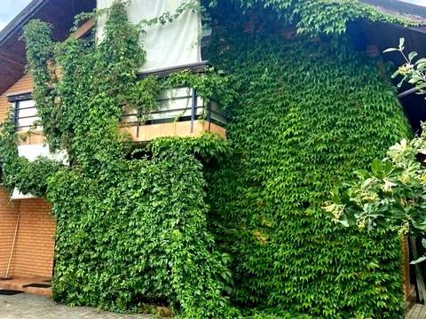 дом по адресу Польова