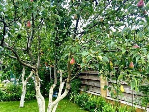 дом по адресу Польова