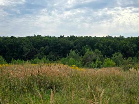 участок по адресу 