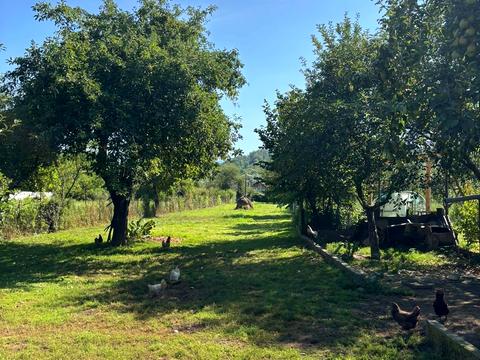 будинок за адресою Центральна