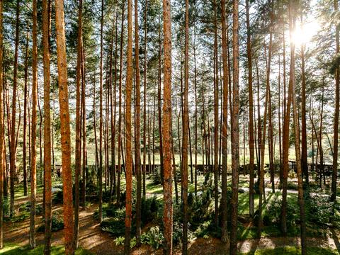будинок за адресою Шевченка вул.