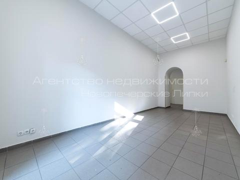 коммерческая по адресу Гетмана Павла Скоропадского ул. (Льва Толстого), 17а