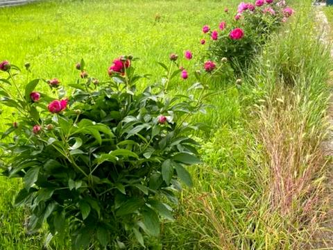 будинок за адресою Незалежності бульв.