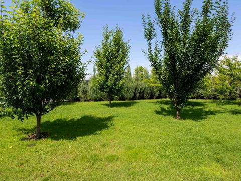 будинок за адресою с. Хотянівка, Соснова, 7