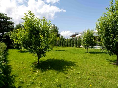 будинок за адресою с. Хотянівка, Соснова, 7