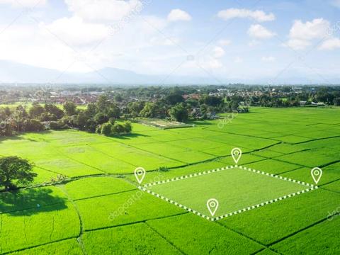 ділянка за адресою 