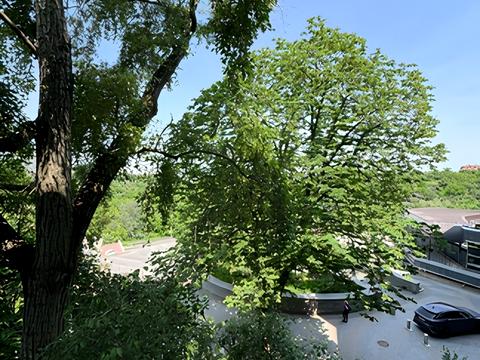 квартира по адресу Большая Житомирская ул., 24-Б