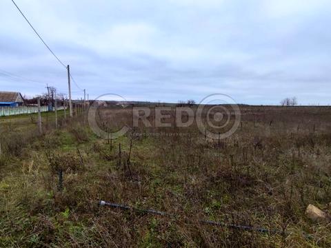 ділянка за адресою с. Лозуватка, Героїв Чорнобиля