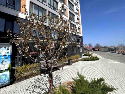 комерційна за адресою І. Богуна вул., 27-В