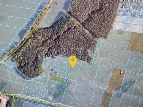 ділянка за адресою с. Нове, центральна