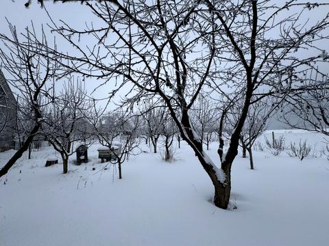 будинок за адресою Франка