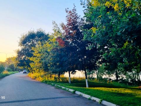 ділянка за адресою Богатирська вул.